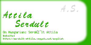 attila serdult business card